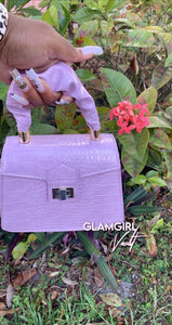 Classy Girl Mini Handbag