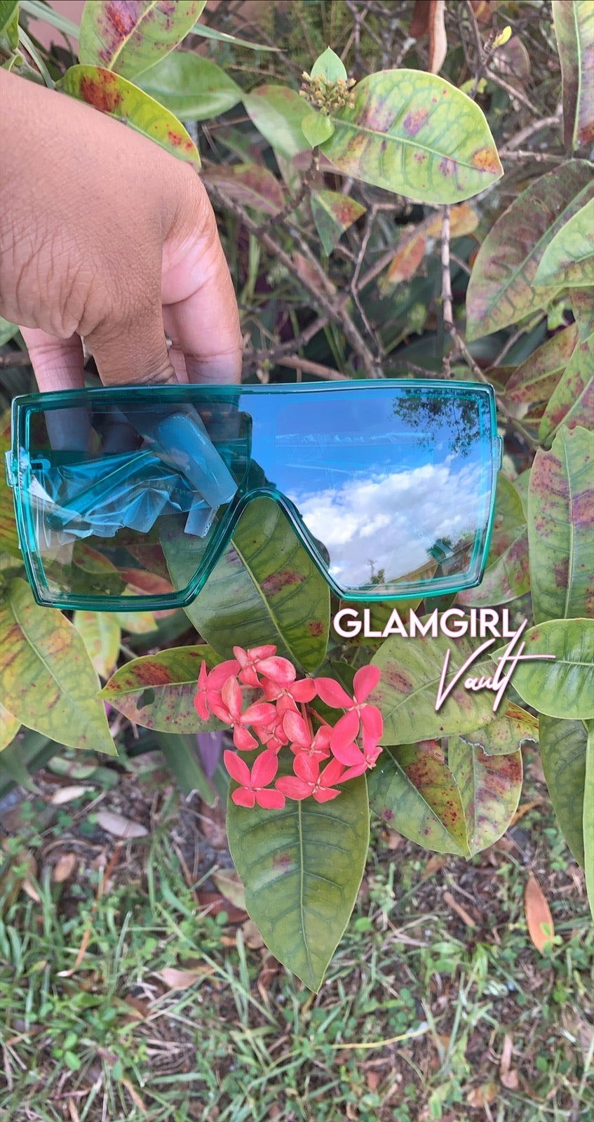 Meet Me In The Tropics